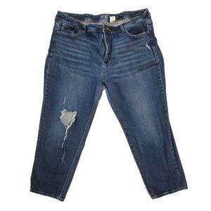Terra And Sky Womens Plus Size Distressed Ankle Jeans 22W Blue Stretch